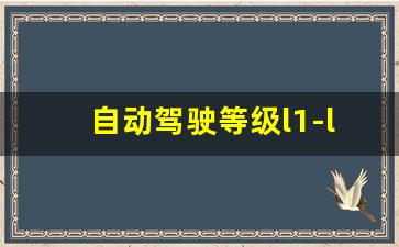 自动驾驶等级l1-l5,汽车l1 l2 l3分别是什么